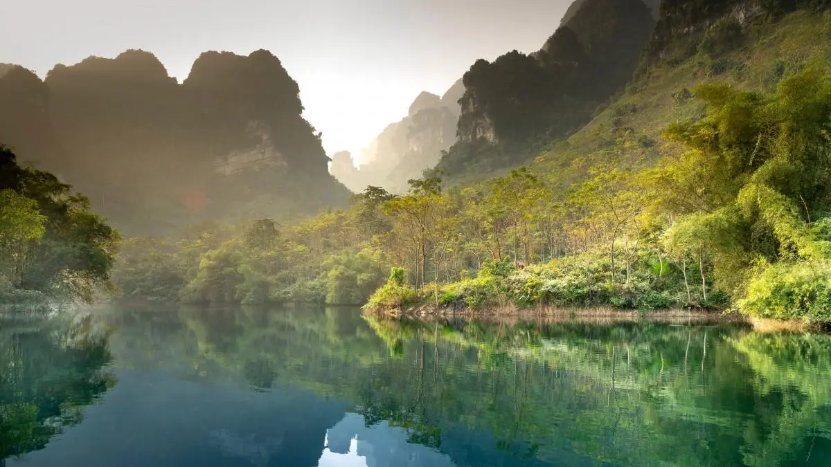 智能系统高效高端